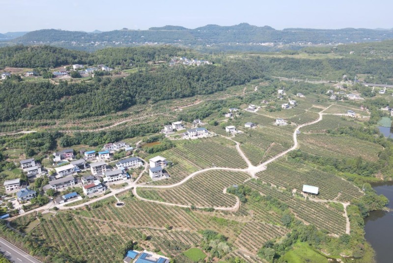1785986065586968.jpg 图片1.jpg