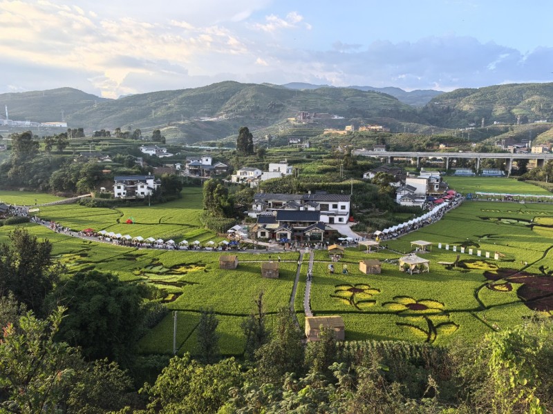1786068638145924.jpg 图片2.jpg