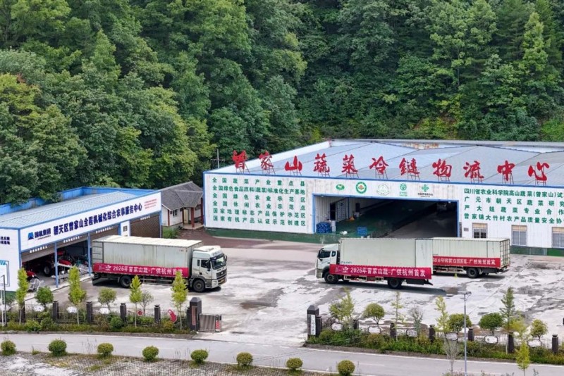 1786072689126197.jpg 图片2.jpg