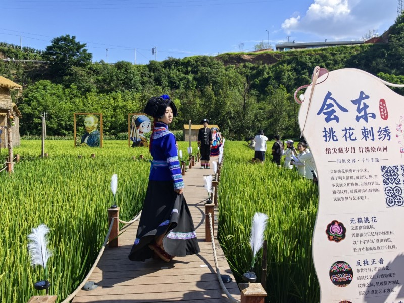 1786068635180844.jpg 图片1.jpg