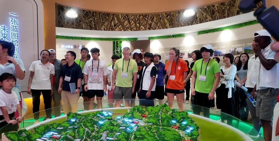 1786419046744307.jpg WPS图片2.jpg