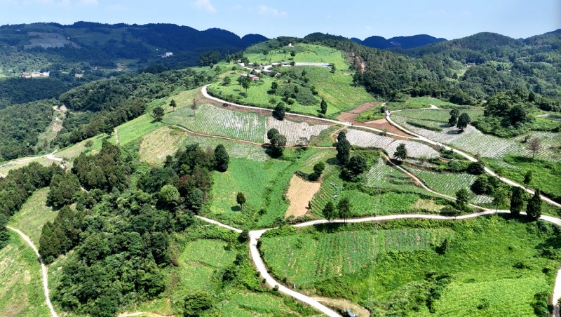 1786414438663798.jpg 1巴山绿源有机蔬菜基地.jpg