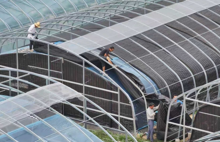 1786513120603113.jpg 微信截图_20260812133653.jpg