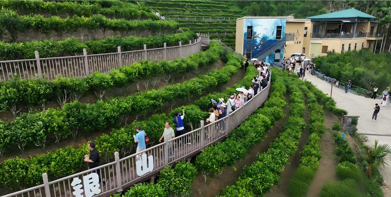 1787014328805547.jpg 微信图片_2026-08-18_082551_192.jpg