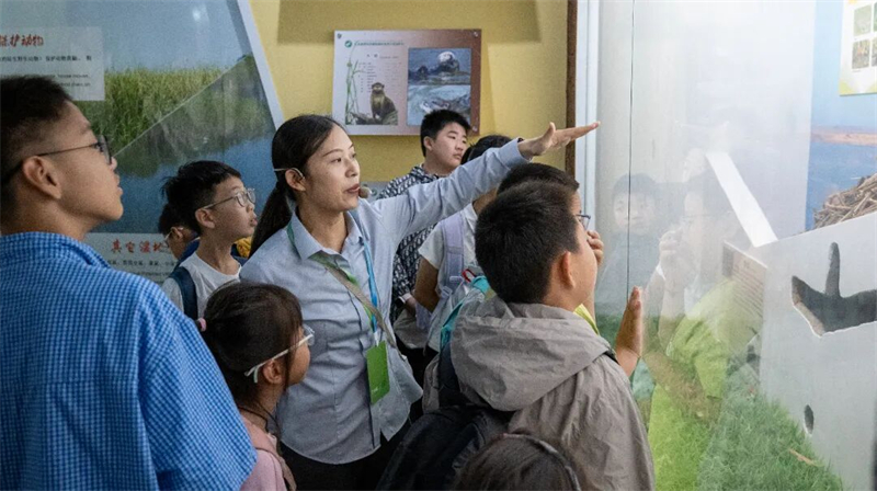 1786939256962564.jpg 图片2.jpg