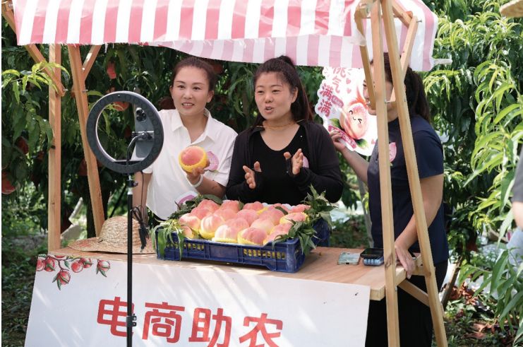 1787018020768644.jpg 截图20260818094817.jpg