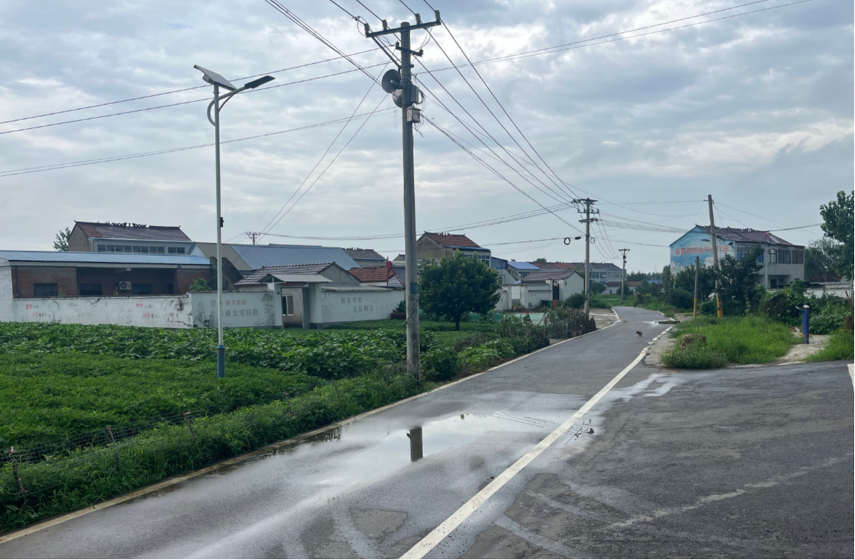 1786946221339546.png 图片1.png