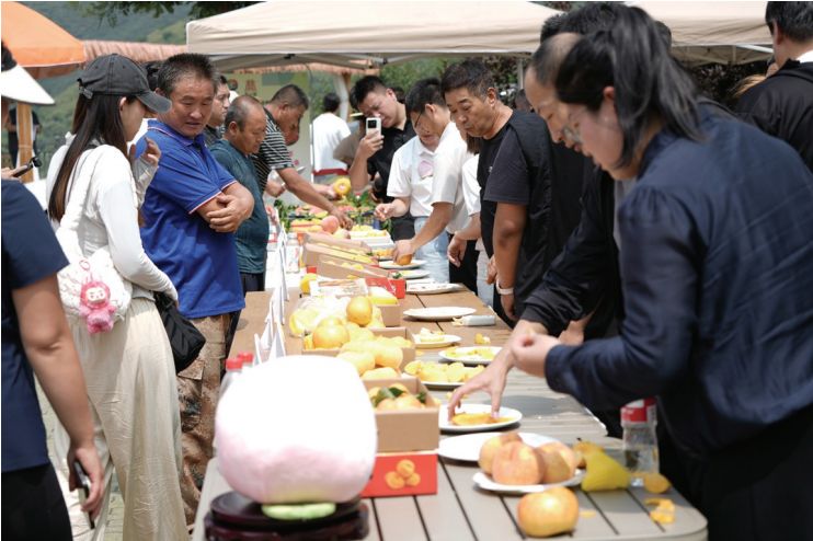 1787017969259299.jpg 截图20260818094747.jpg