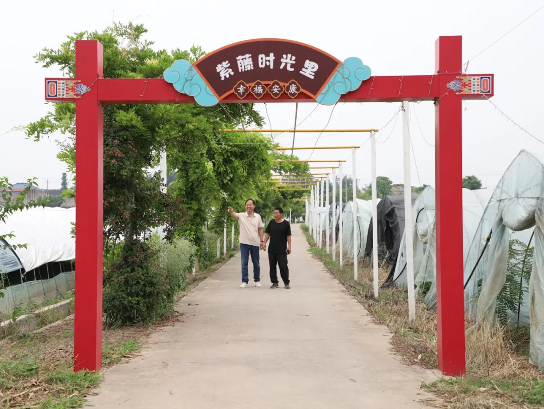 配图6