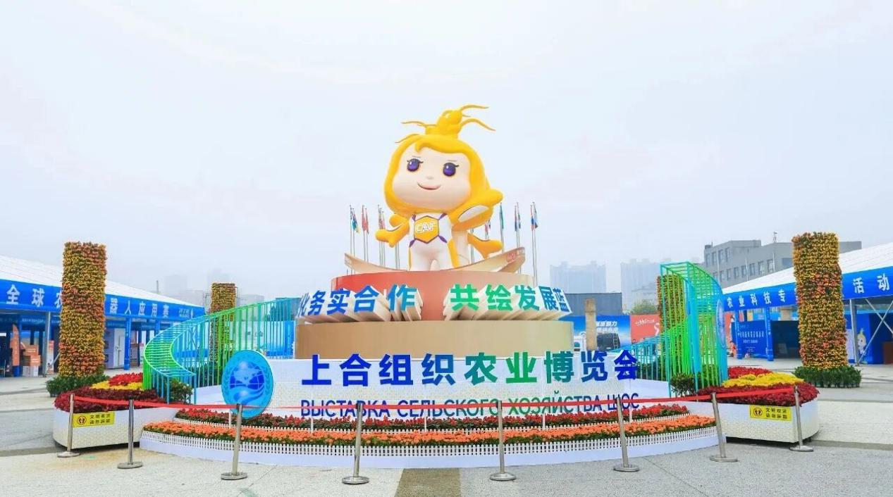 配图2