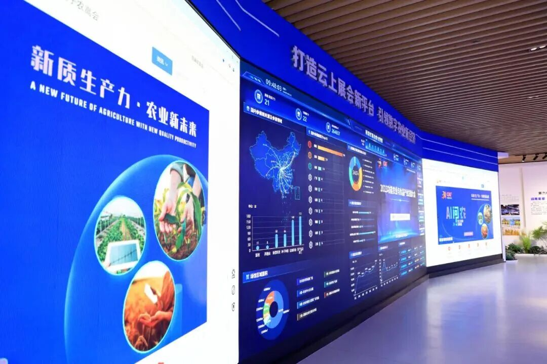 配图5
