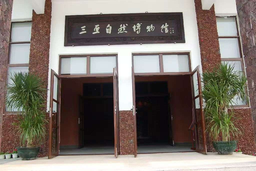 配图6