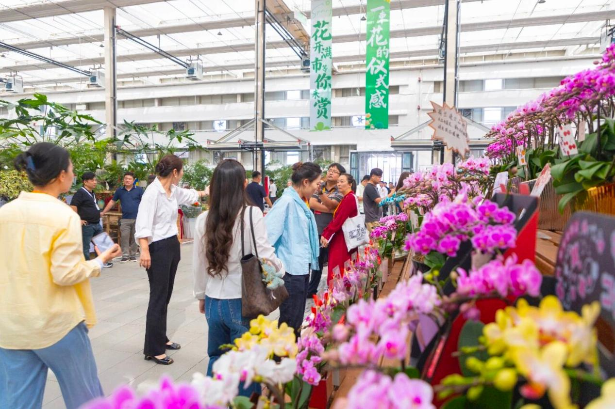 首衡·国际花都交易大厅实景