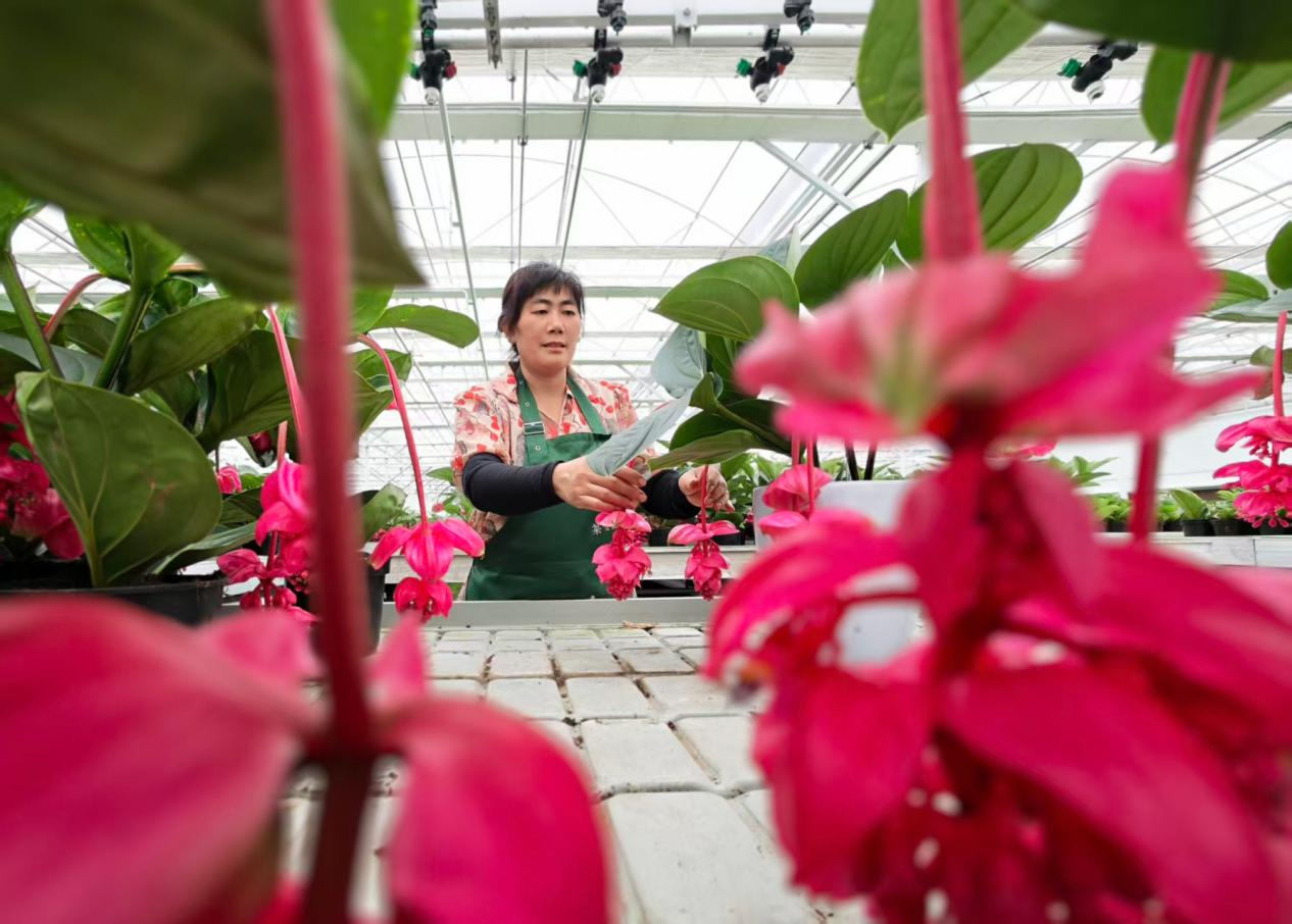 配图1