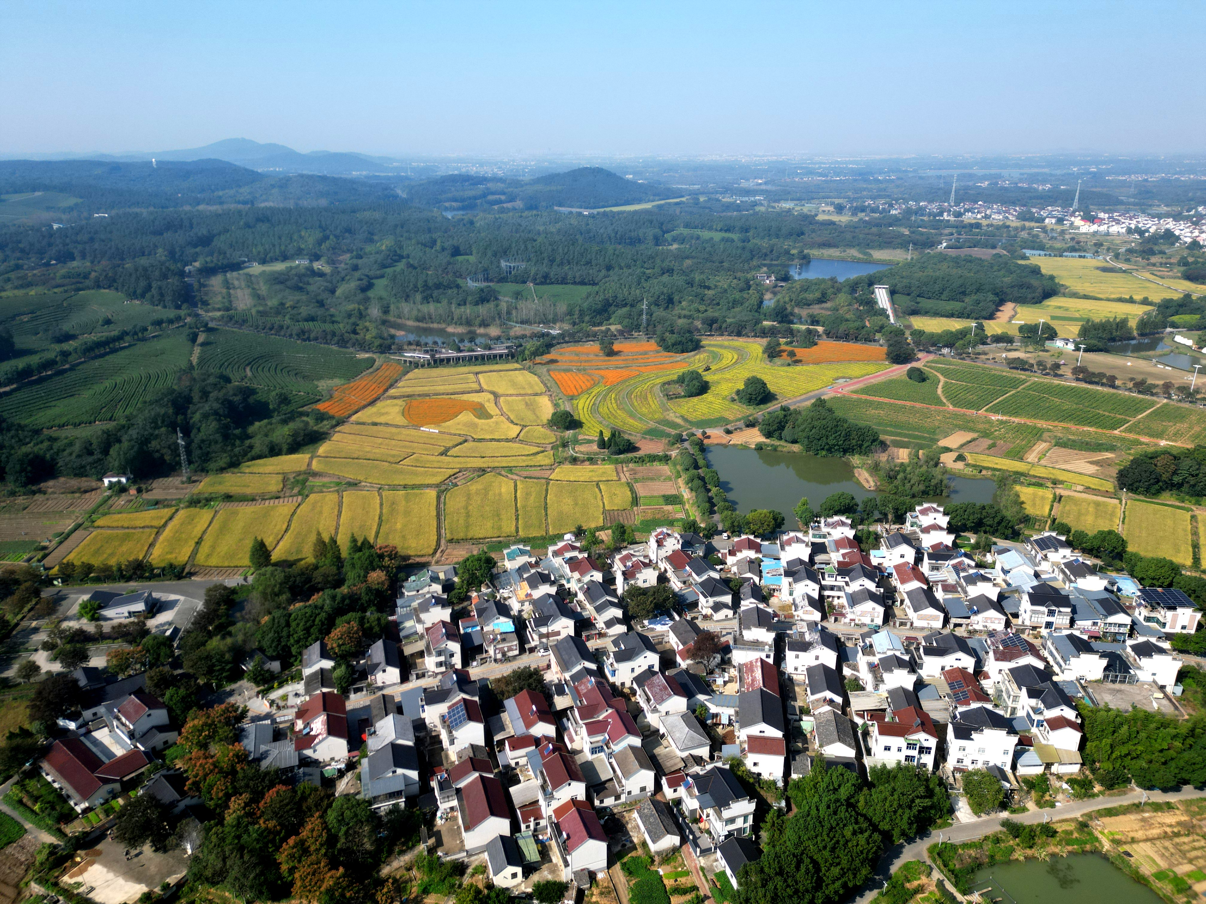配图1