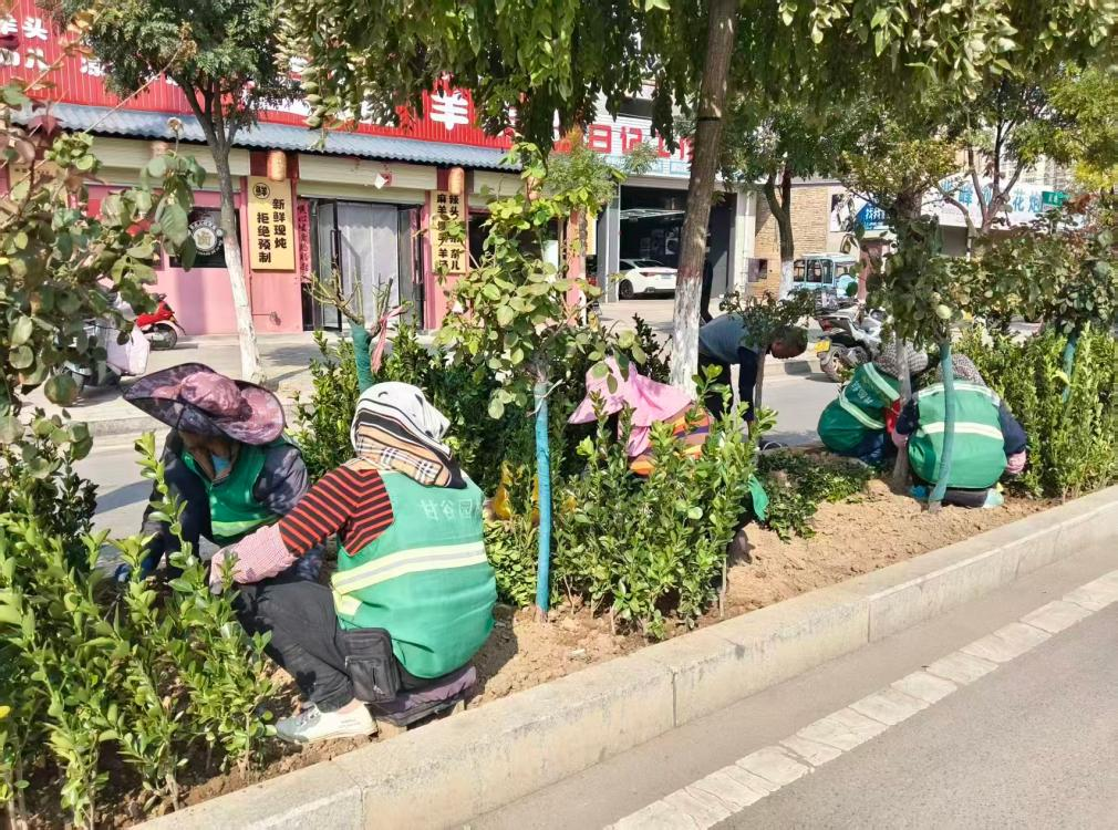 配图2