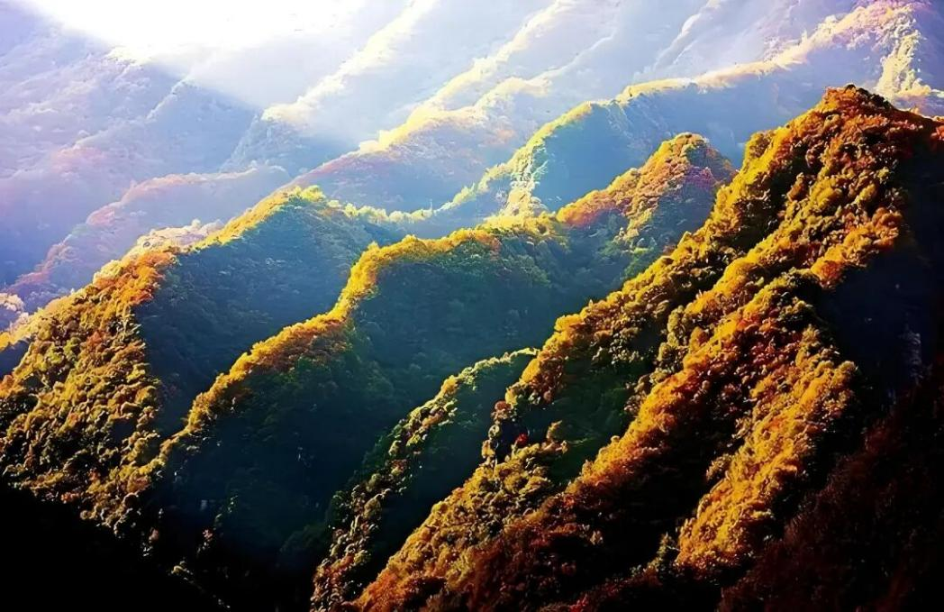 配图1