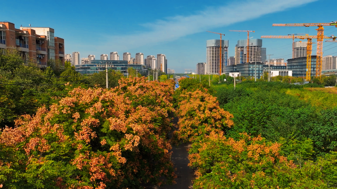 配图1