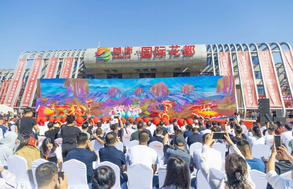 满月答卷:数据亮眼,产业生态加速成型