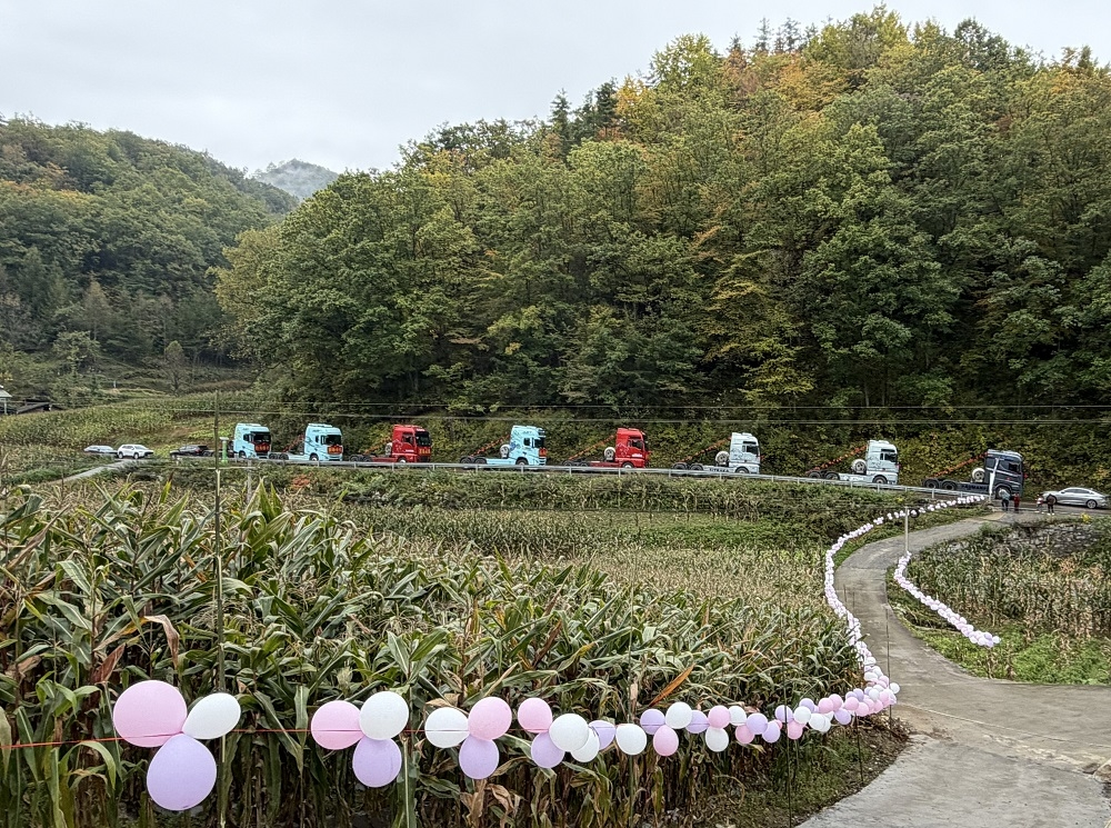 配图3