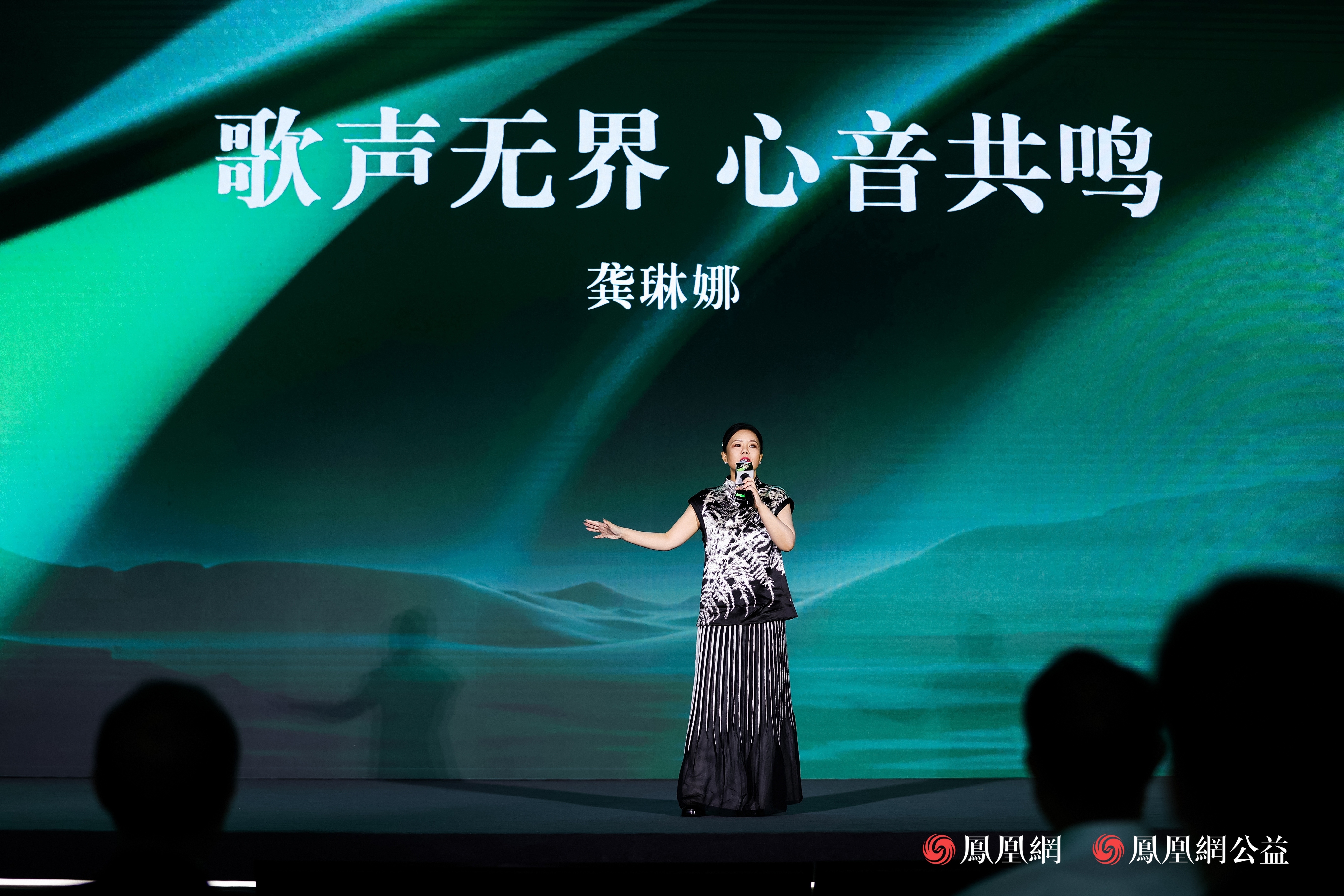 歌唱家、中国新艺术音乐创始人 龚琳娜