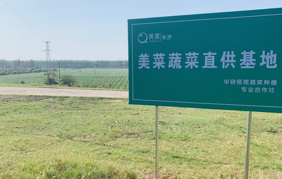 长沙美菜挂牌蔬菜基地助95户贫困家庭产业脱贫