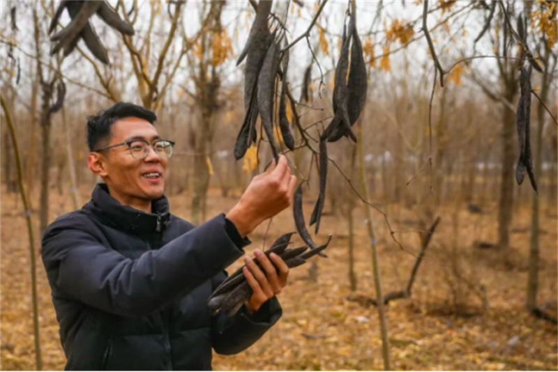 丰县凤城街道：特色种养“双轮驱动” 拓宽村民增收渠道420.jpg