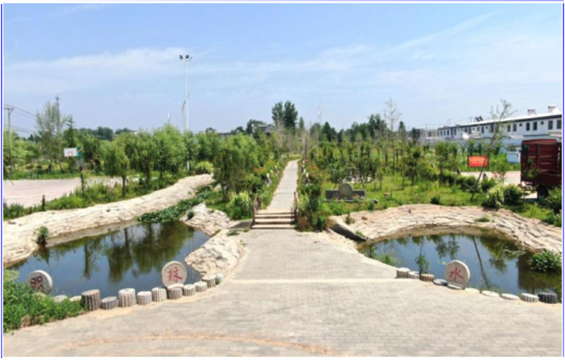 江苏省新沂市合沟镇践行四个万家推进我为群众办实事