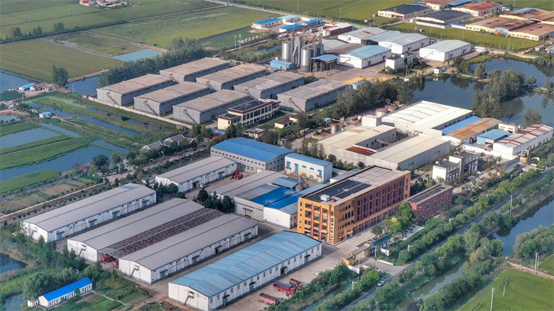 泗洪县界集镇十里杨岗奏兴歌