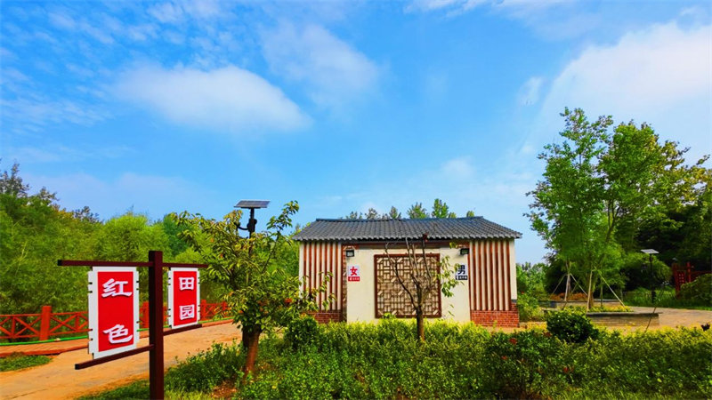 江苏省新沂市草桥镇纪集村强化人居环境整治助力村庄环境提升