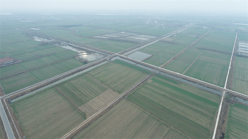 消费日报网>长三角观察>聚焦长三角>新沂市港头镇坚持高标准农田建设