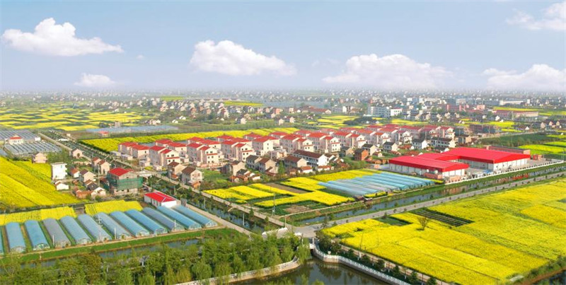 江苏海门连续四年荣获省乡村振兴战略实绩考核第一等次