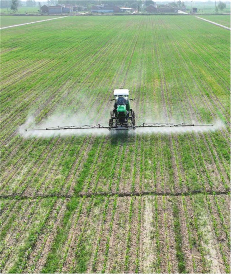 科技赋能 沃野生“金”：睢宁基地书写黄淮粮仓“藏粮于技”新篇章582.jpg