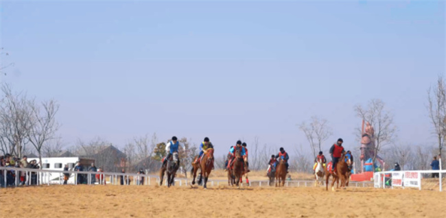 赛马现场.jpg