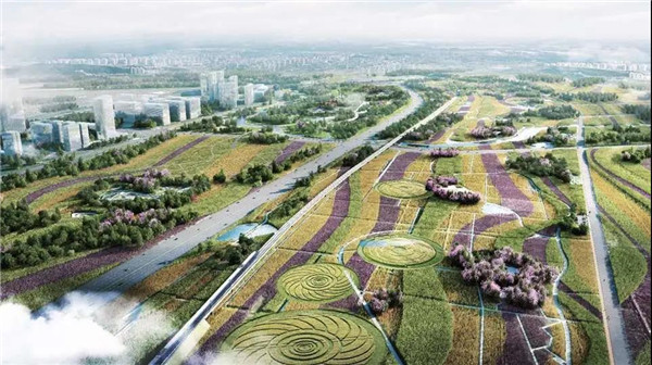 四川都江堰到成都更快捷成都羊西线改造工程开工全线取消红绿灯