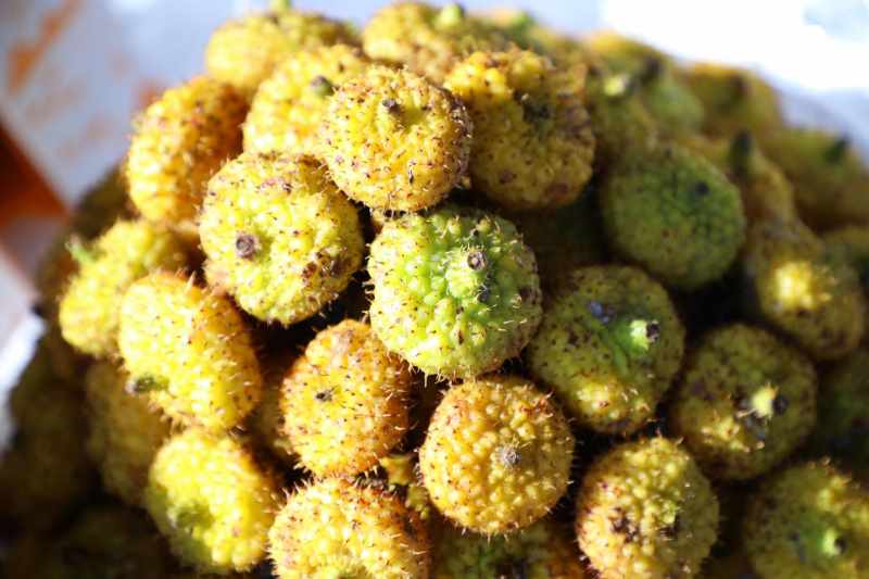 "刺柠吉号"高铁专列启动 东西部产业扶贫协作驶入快车道