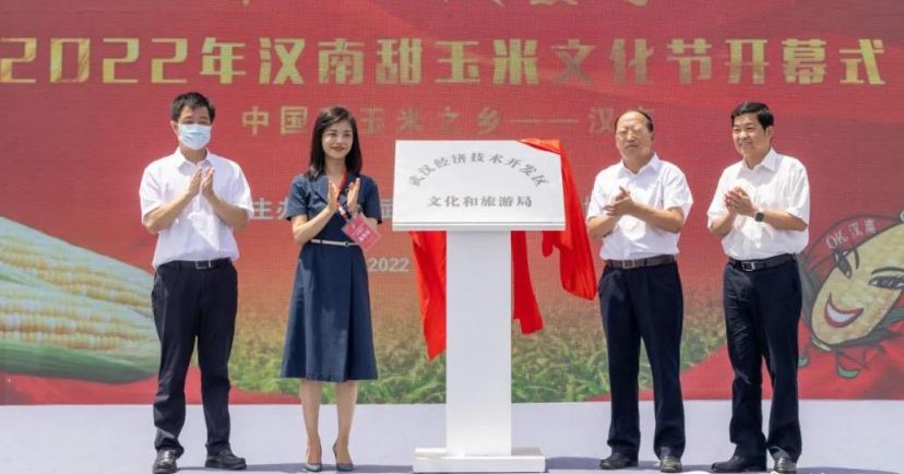 湖北武汉经开区汉南6万亩甜玉米开园上市