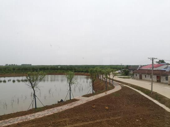 肥西官亭姚岗村多管齐下助力美好乡村建设