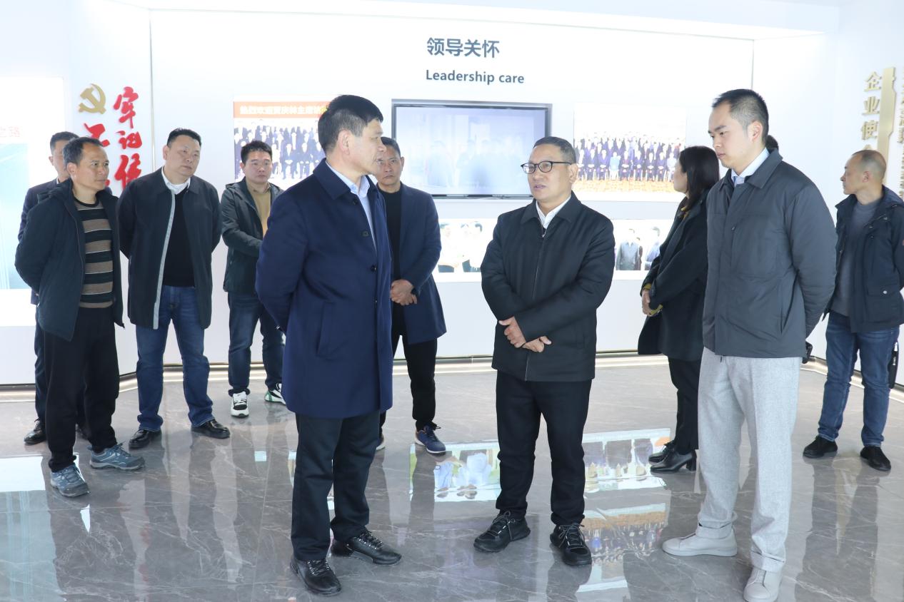 金华市副市长庄凌飞带队到王力调研