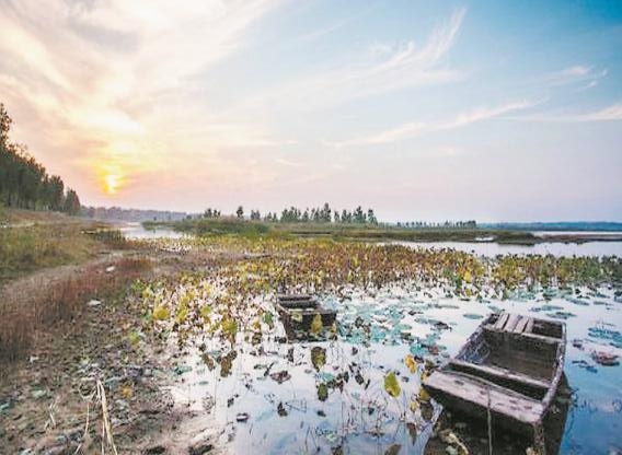 单县黄岗古镇黄河故道的湿地景观