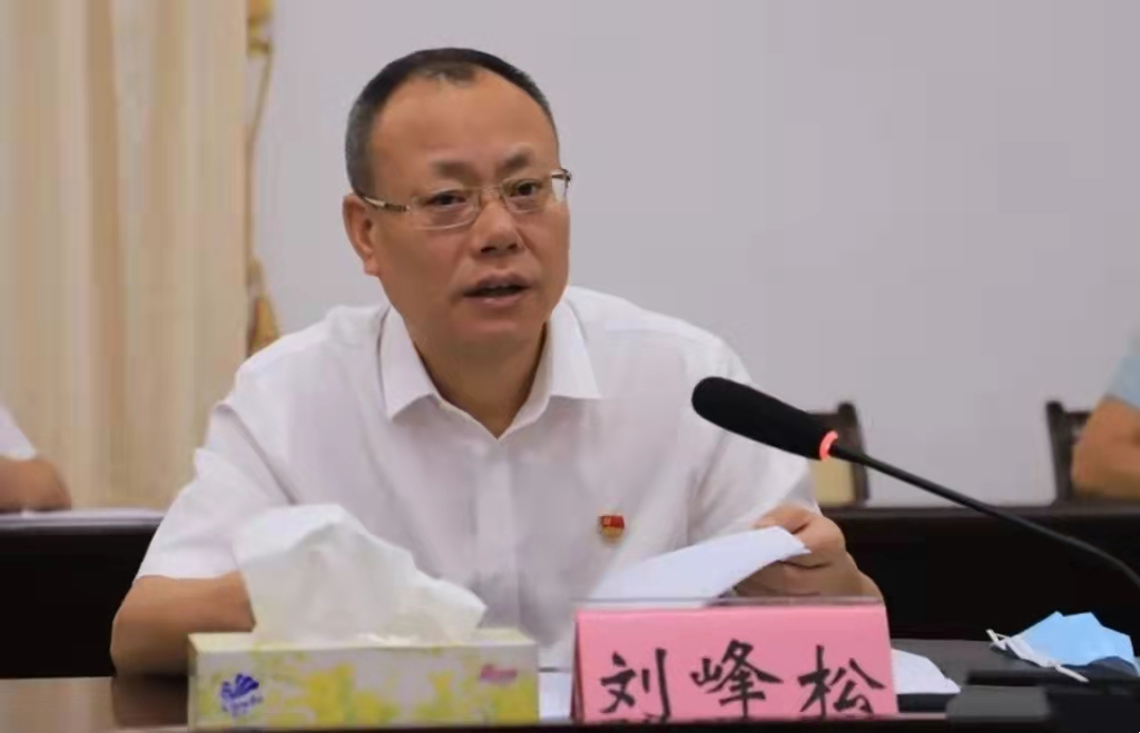 定安县委书记刘峰松开展接访活动