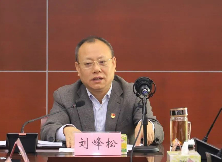 海南省定安县委书记主持召开专题会议研究推进古村落和红色遗迹保护