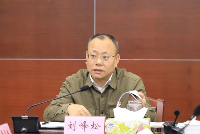 海南定安县委书记开展春节走访慰问活动并主持召开重点项目谋划工作