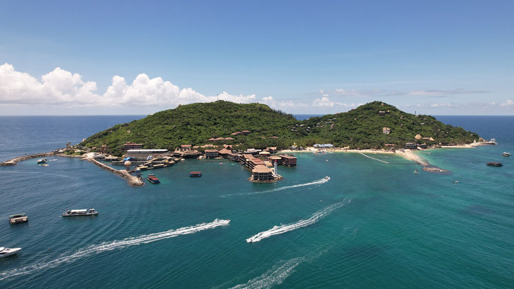 与自然共生邂逅雨林海岛海南陵水邀您一起体验2023雨林生态精品旅游