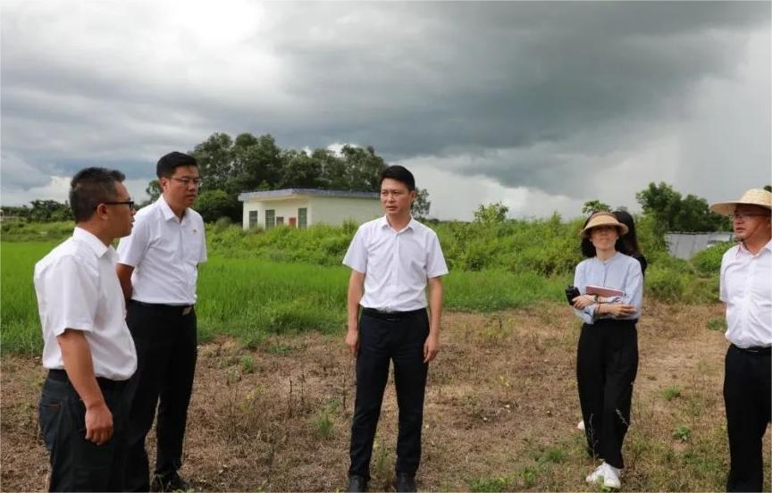 海南省定安县人民政府县长冯云飞率队调研水系连通及水