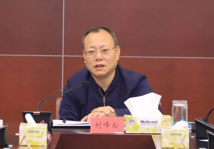 海南定安召开书记专题会议专题研究2024年农民增收工作