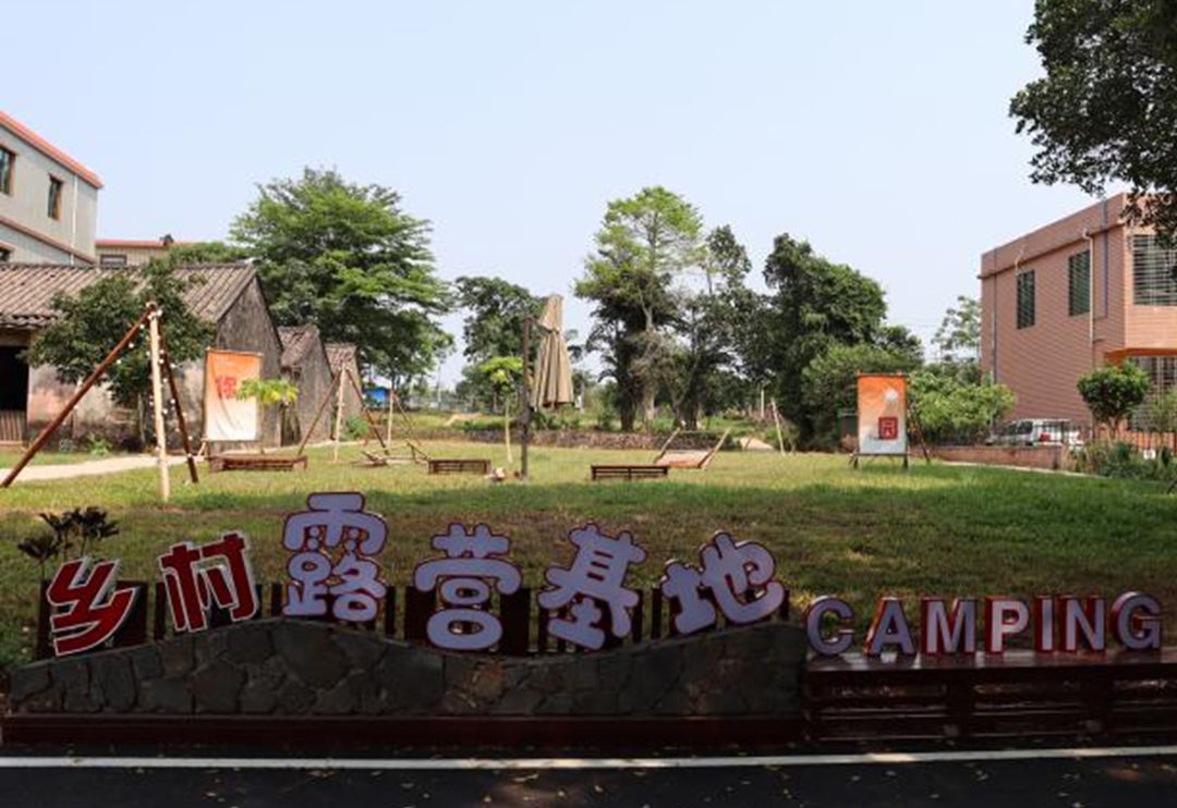 海口市琼山区引进人才团队助力和美乡村建设