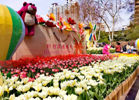 2024年郑州市人民公园第二十七届郁金香花展