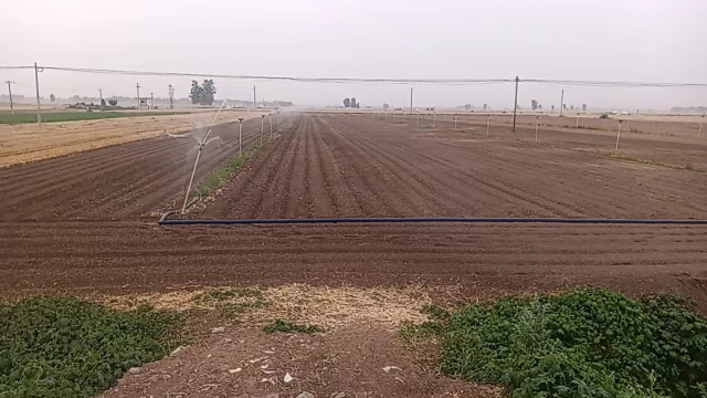 鏖战正酣 河南省延津县供销社全力服务抗旱抢种保苗