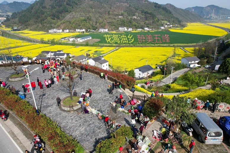 湖北郧阳五峰两朵金花带动村民增收致富